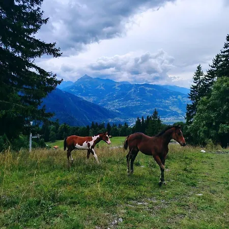 La Taniere Des Cimes, Sauna Prive * Passy (Haute-Savoie)